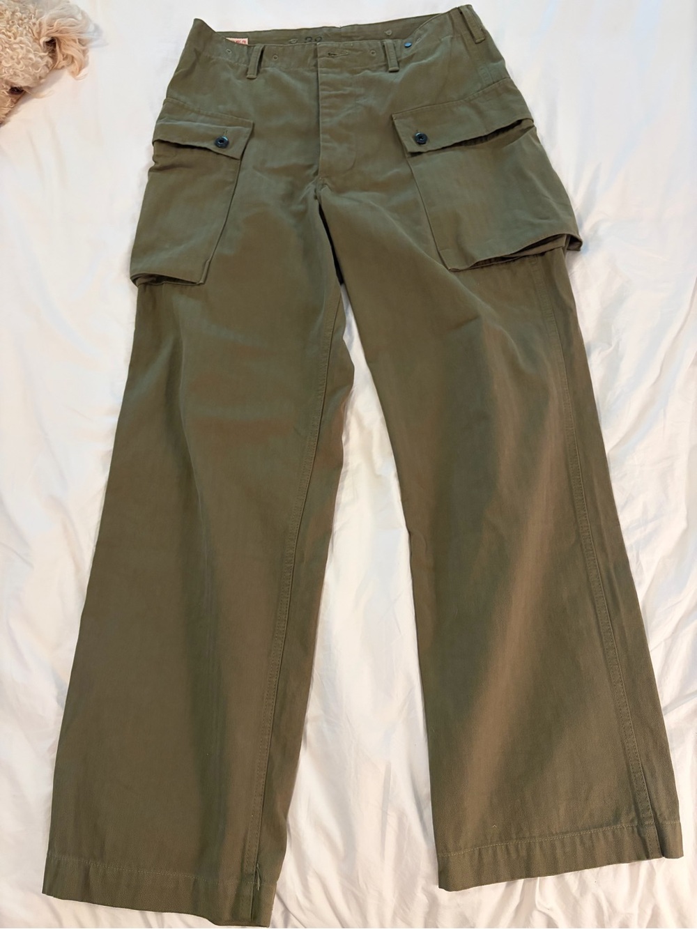 Men's Olive Cargo Pants with Flap Pockets